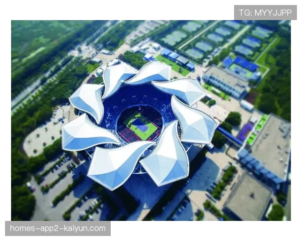 世界网球场馆现代化改造：提升观赛体验与功能性，网球场馆高度要多少